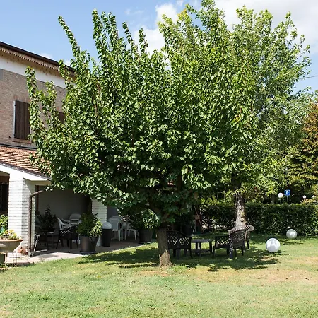 Country 3*